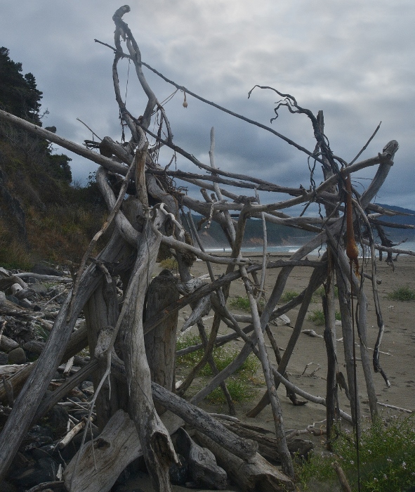 hut made of driftwood